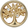 Connections Tree of Life FG